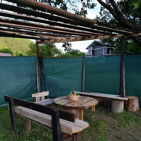 Dzans Apartman *