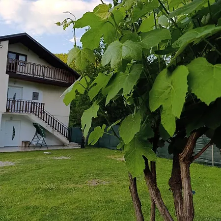 Apartamento Dzans *